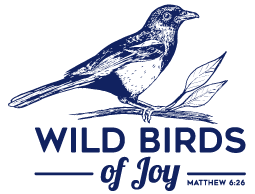 Bird House Clear Window Bird Feeder - Wild Birds of Joy