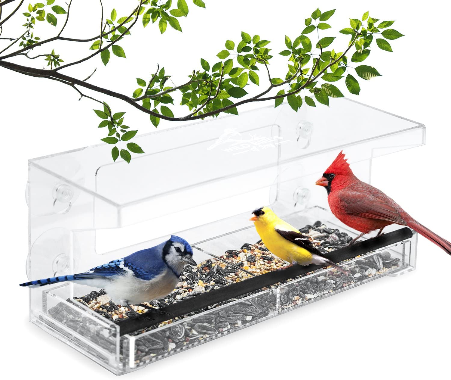 Window Wild Bird Feeder House Transparent Table Clear Viewing