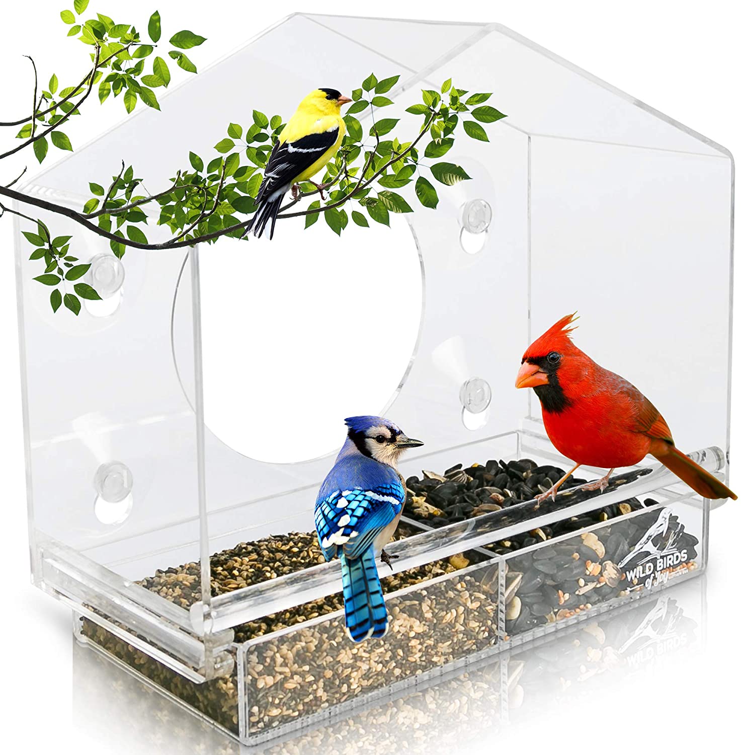 Small Rectangle Clear Window Bird Feeder - Wild Birds of Joy