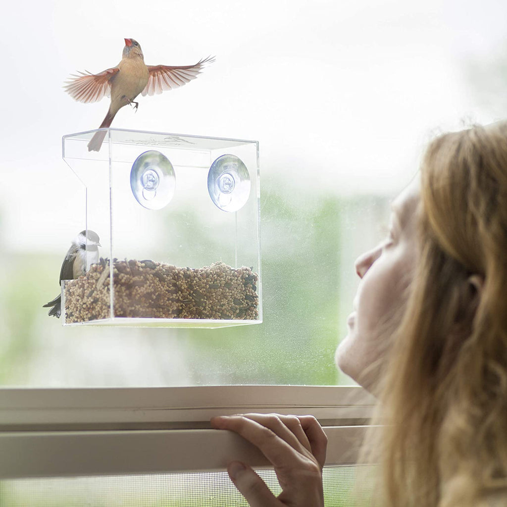 Small Rectangle Clear Window Bird Feeder - Wild Birds of Joy