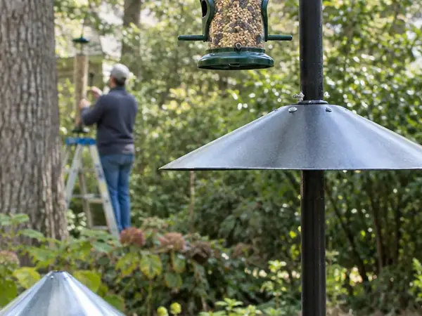 Build a Safe Stovepipe Baffle for a Pole-Mounted Feeder
